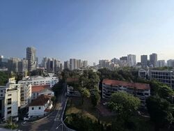 The Rise @ Oxley - Residences (D9), Apartment #606445891